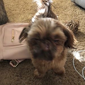 Meet your Posher, Kelly